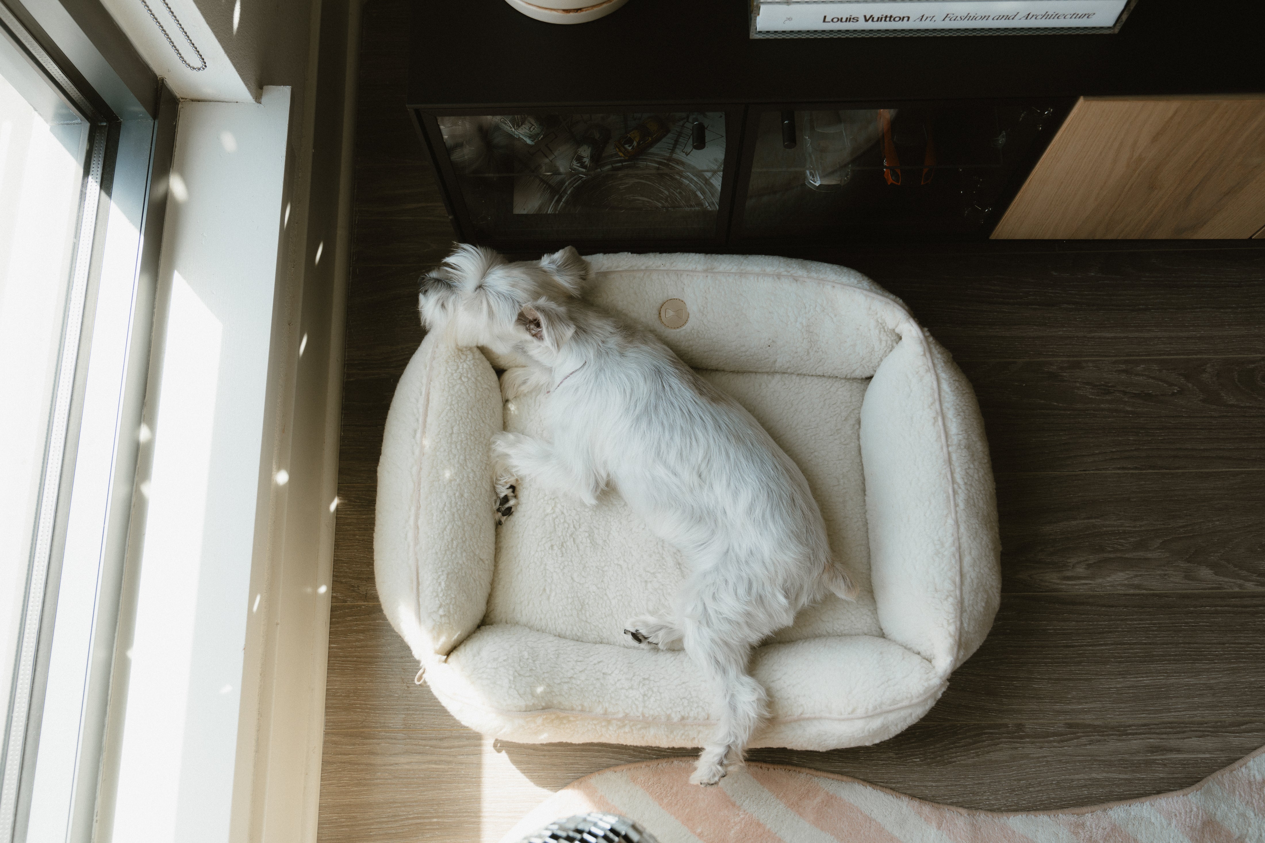 How to Help Your Puppy Sleep Through the Night: Tips, Sleep Chart, and Best Beds for Your Furry Baby