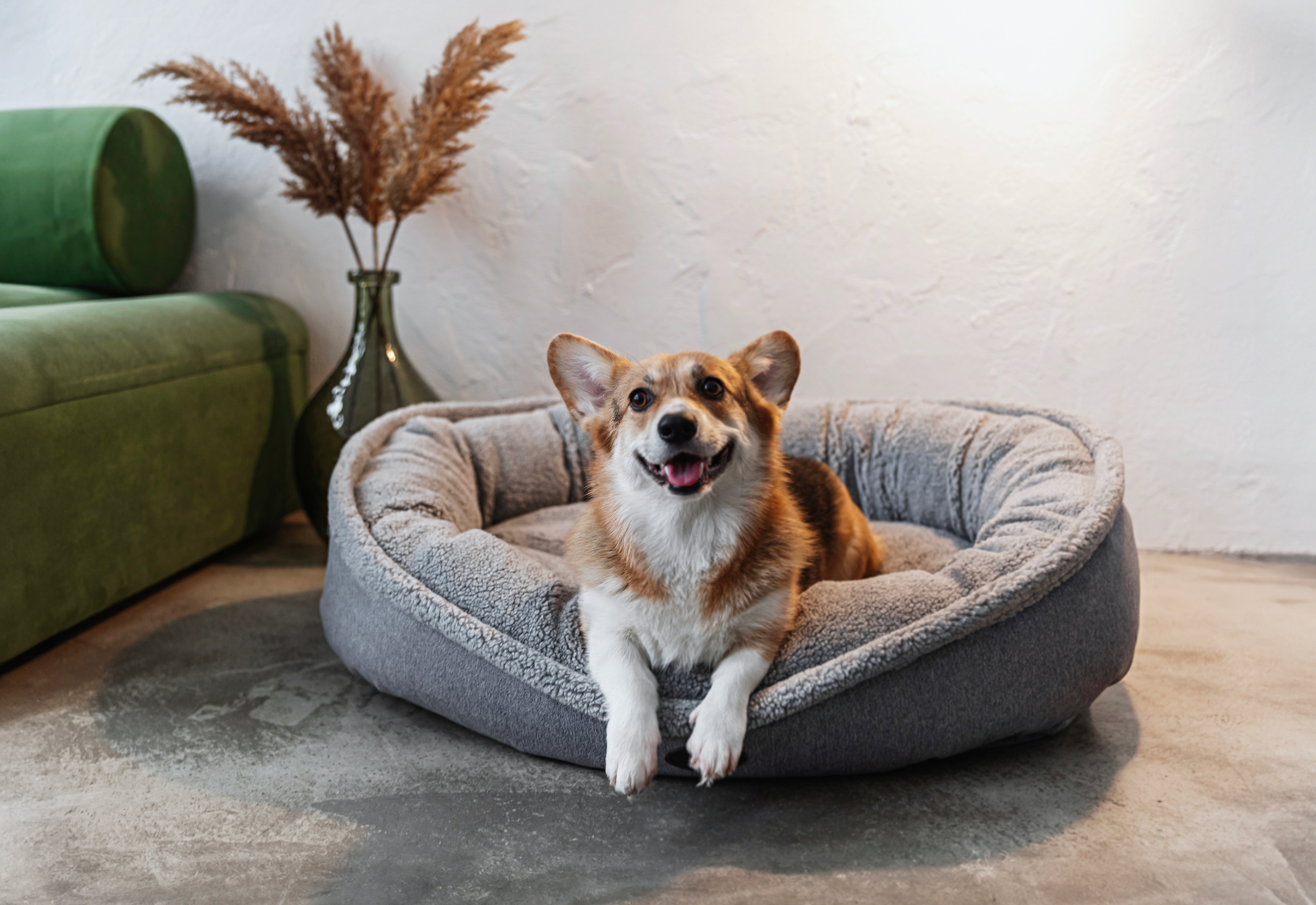 Furry Bagel Dog Bed