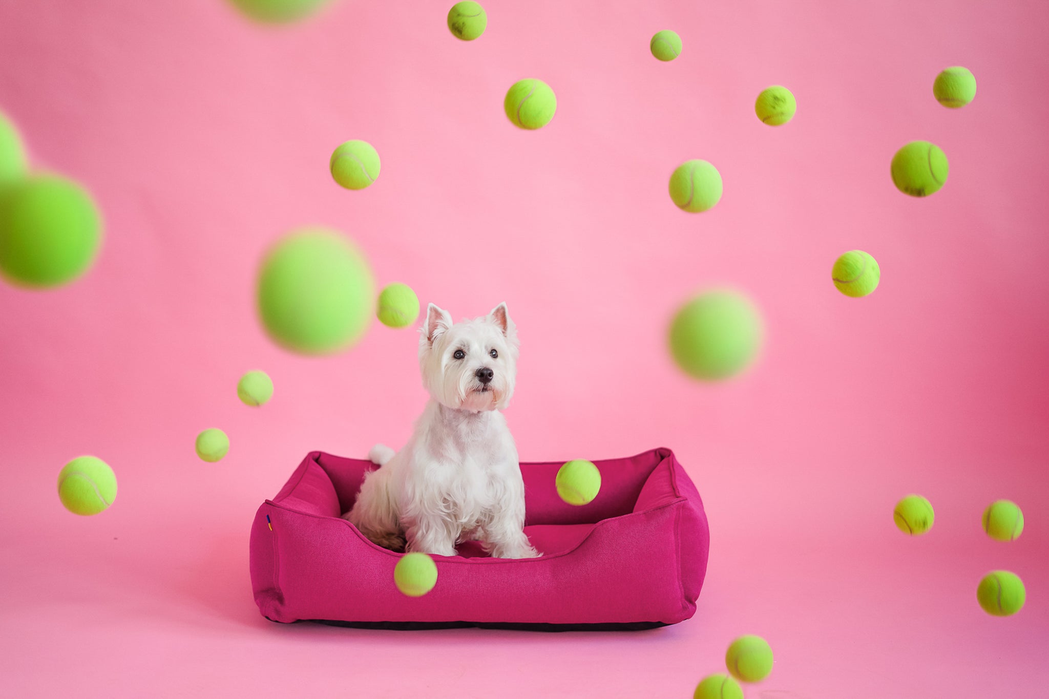 Cotton Sleeper Dog Bed Berry Pink