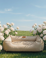 Chester & Lee | Classic Velvet Sleeper Dog Bed Beige