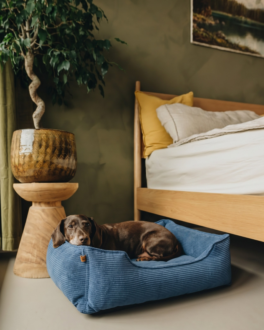 Chester & Lee | Fancy Corduroy Sleeper Dog Bed
