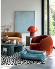 Chester & Lee | Vibrant Velvet Sleeper Dog Bed Tiffany