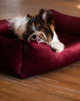 Load image into Gallery viewer, Vibrant Velvet Sleeper Dog Bed
