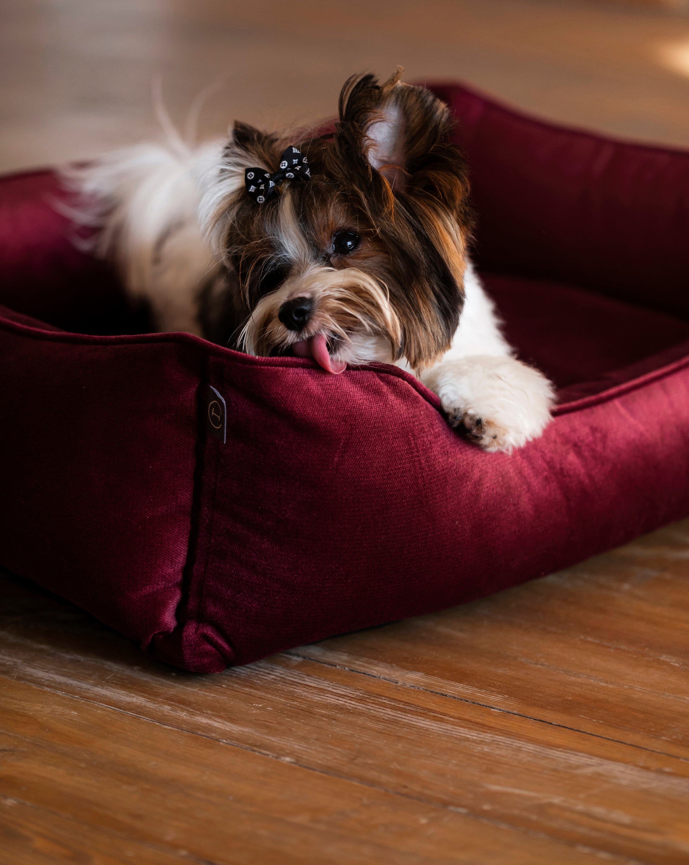 Vibrant Velvet Sleeper Dog Bed