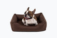 Load image into Gallery viewer, Hazelnut Sleeper Dog Bed
