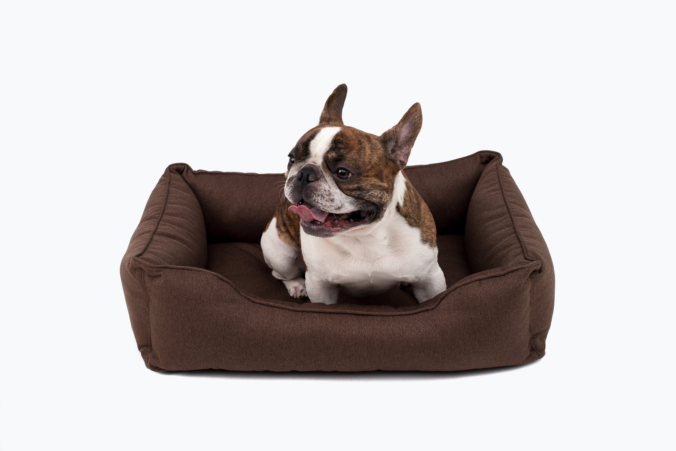 Hazelnut Sleeper Dog Bed