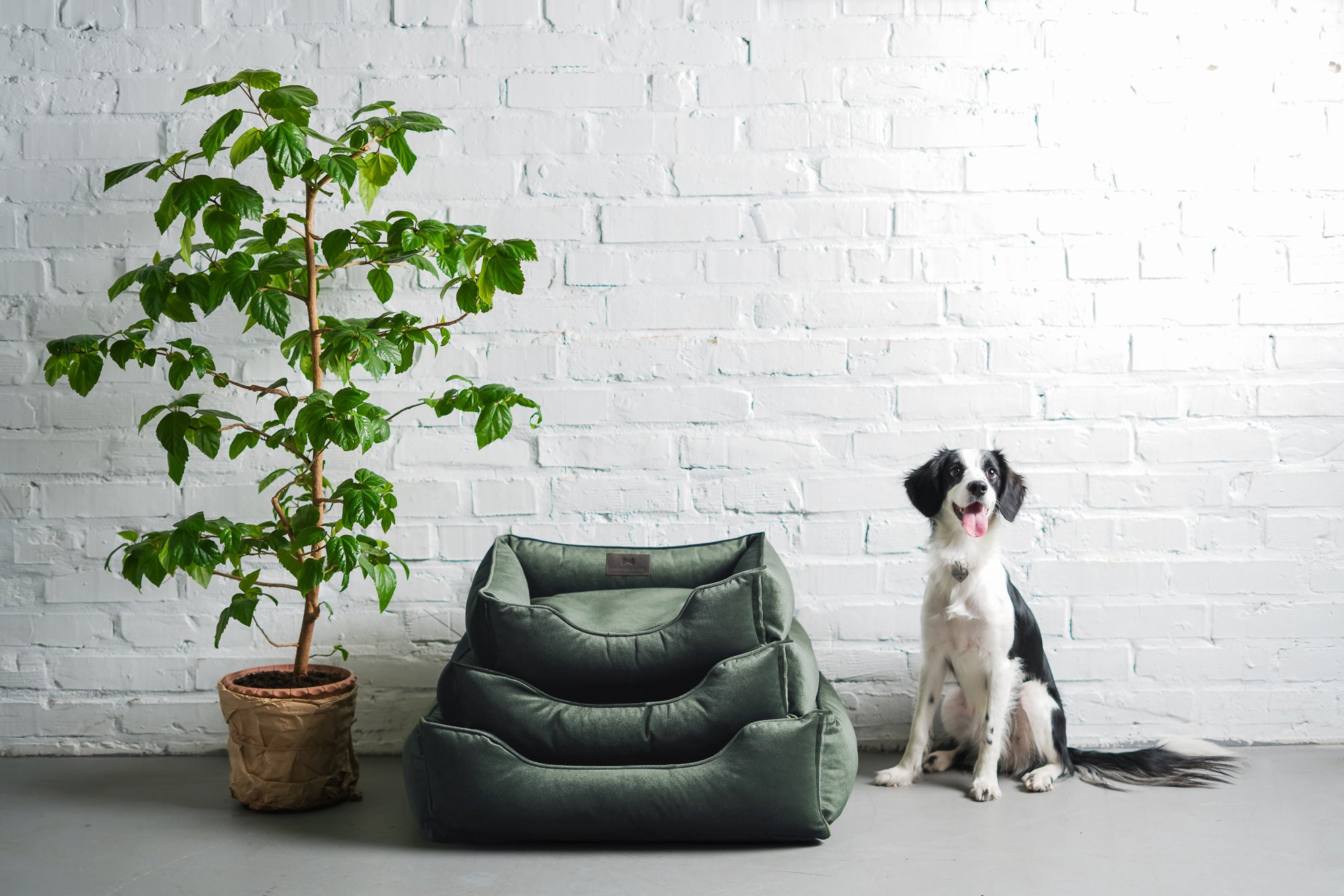 Deep Green Sleeper Dog Bed
