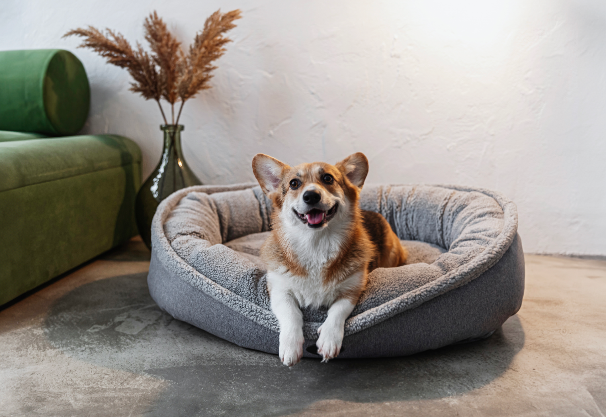 Furry Cuddler Dog Bed