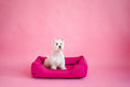 Load image into Gallery viewer, Berry Sleeper Dog Bed
