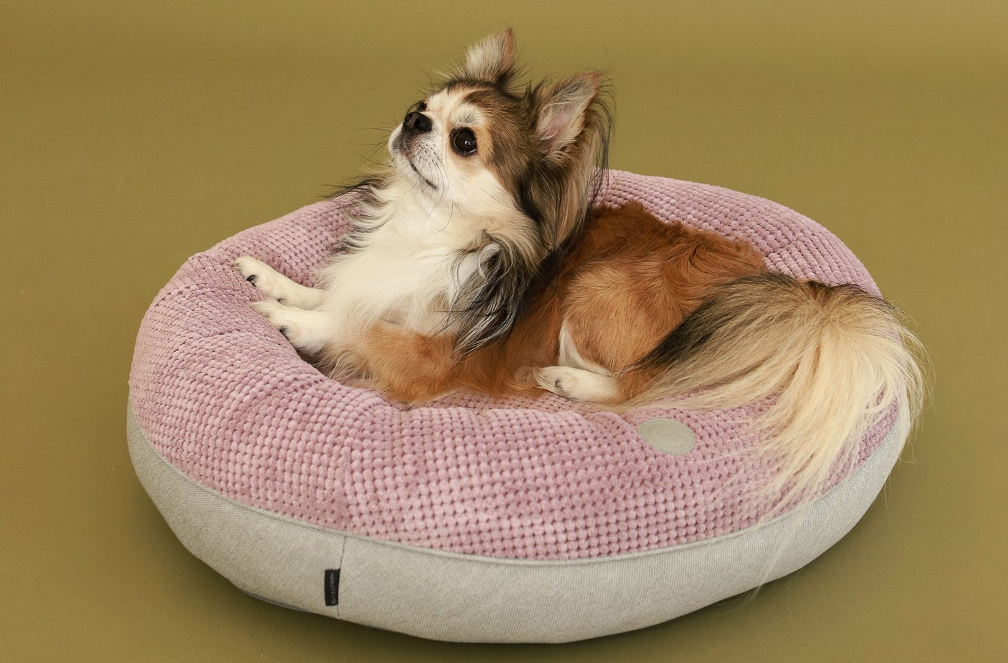Light Pink Donut Dog Bed